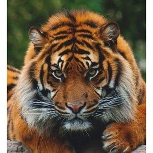 Meet your Posher, Dee